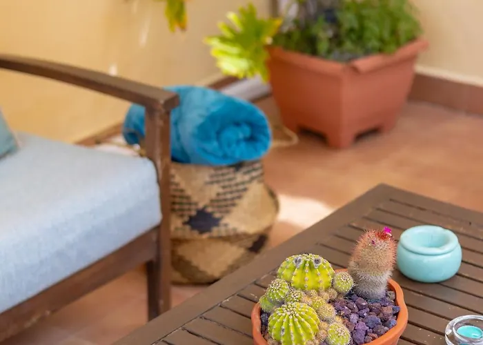 Fidalsa Coastal Soul *